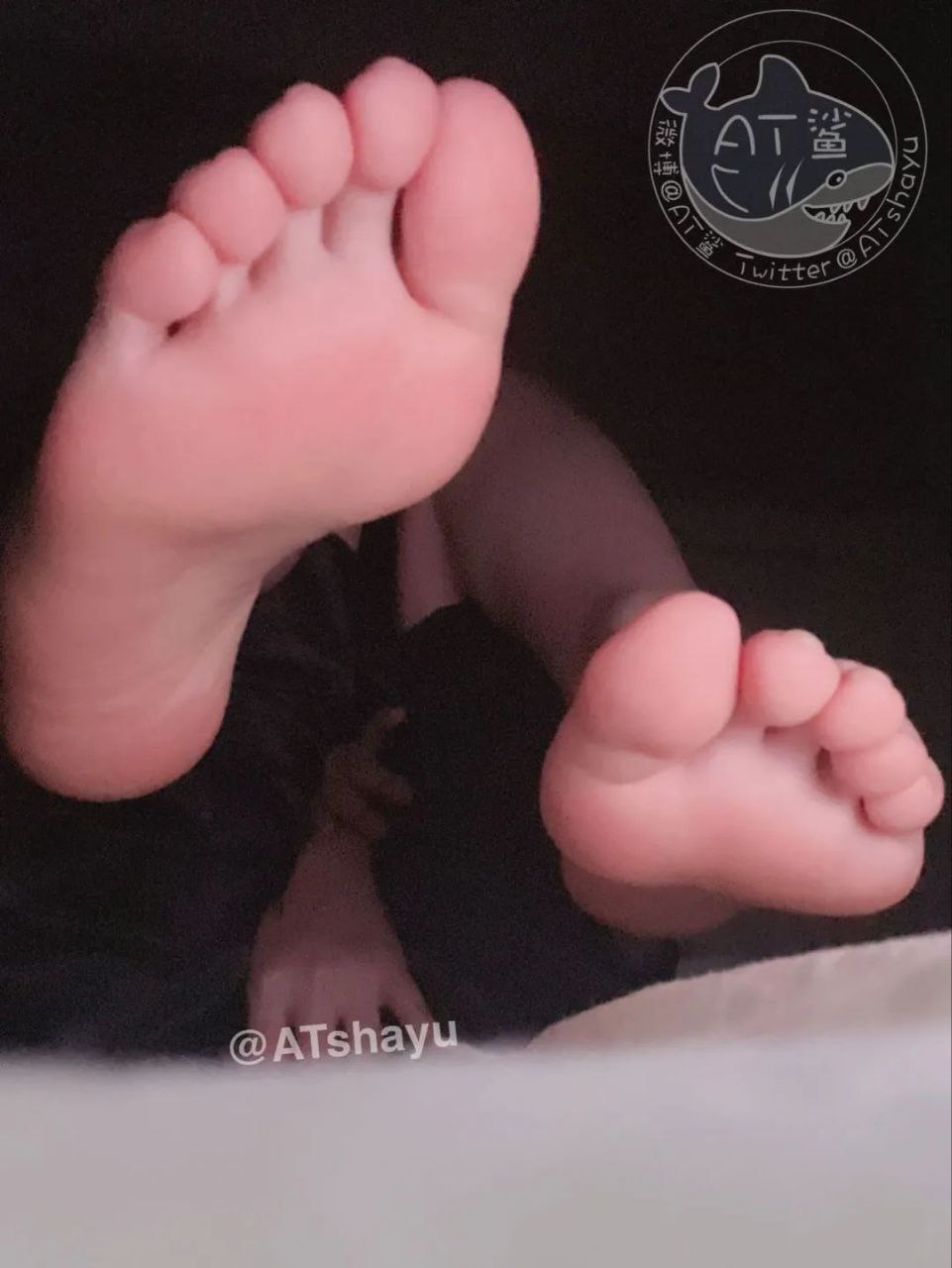 AT鲨-纯享玉足[21P] 小姐姐 预览2图