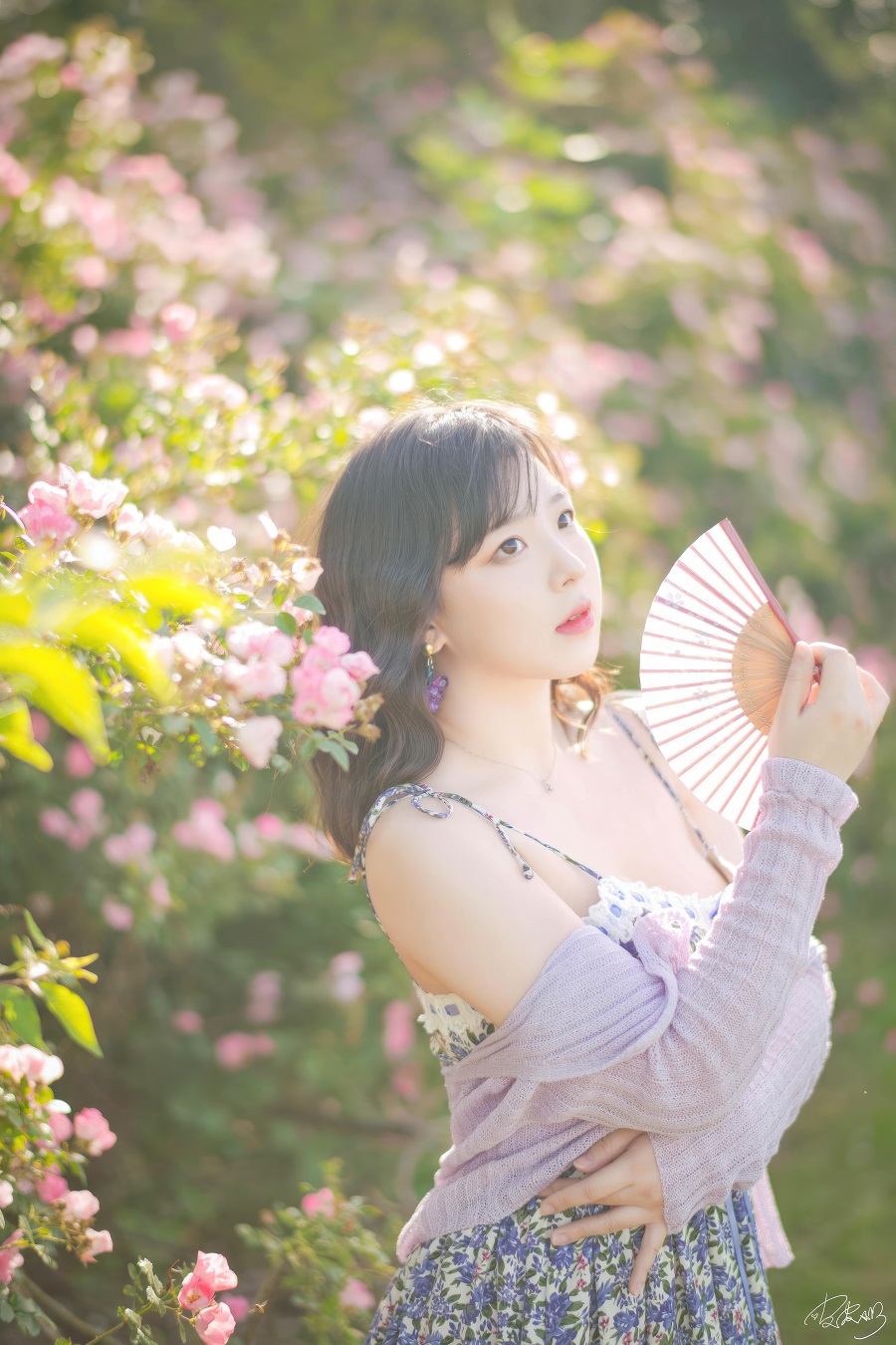 皮皮奶可可爱了啦-蔷薇花[36P] 小姐姐 预览1图